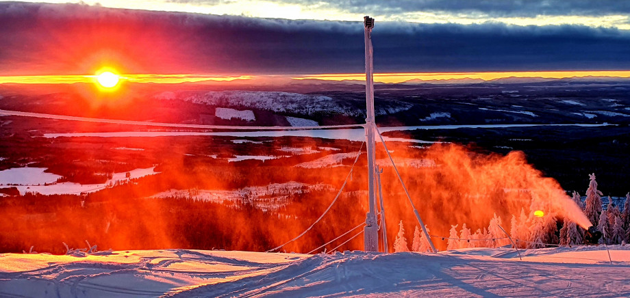 alm&aring;sa_nytt.jpg